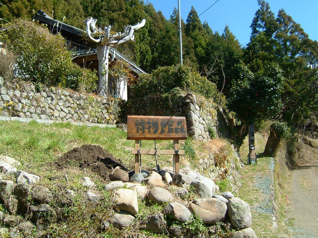 Museum Mori-森町必去景点