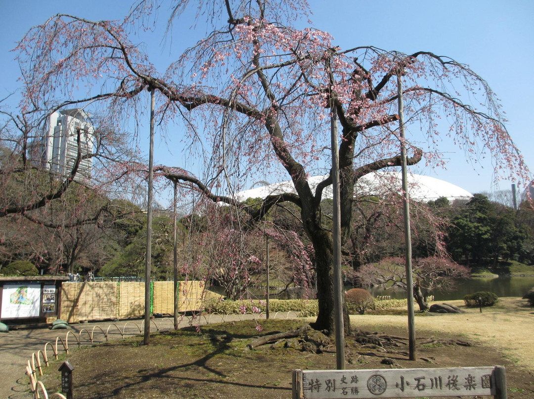 小石川后乐园景点图片
