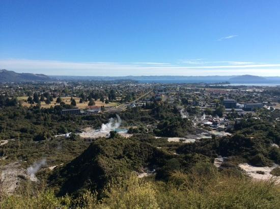红木森林公园-罗托鲁瓦必去景点