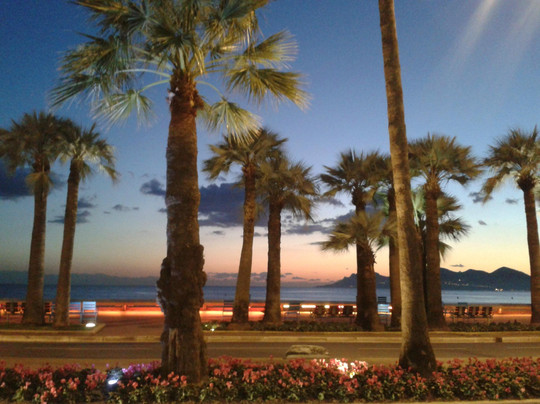 Art and Tours-尼斯必去景点