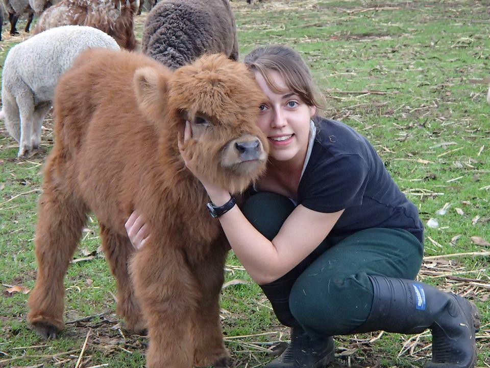 Denmark Animal Farm & Pentland Alpaca Stud景点图片