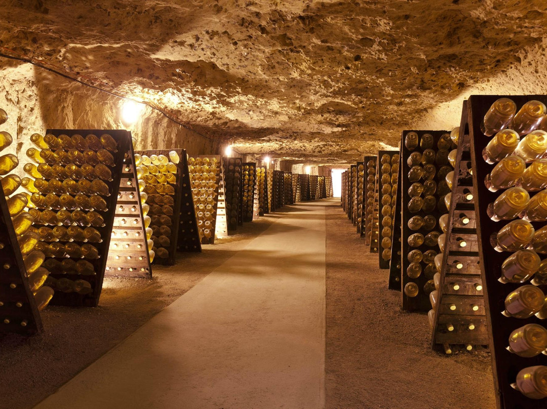 Grandes Caves Saint Roch - Blanc Foussy景点图片