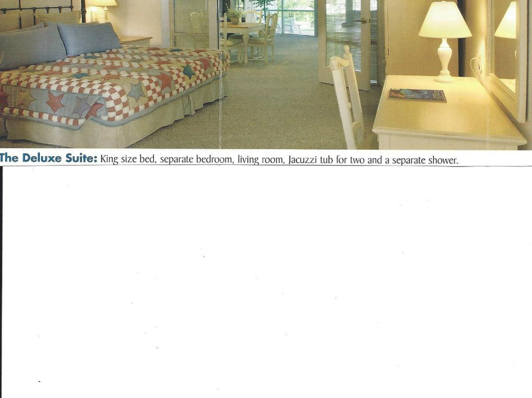 Sun Retreats Dunedin主图