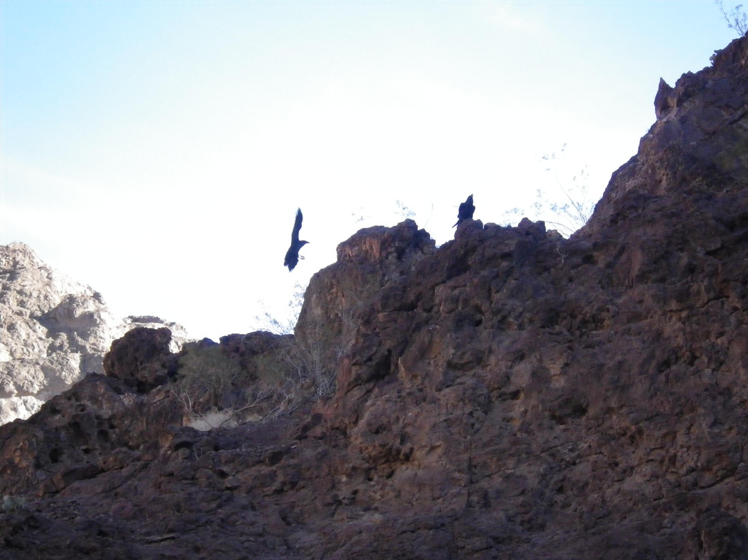 亚利桑那温泉-拉斯维加斯必去景点