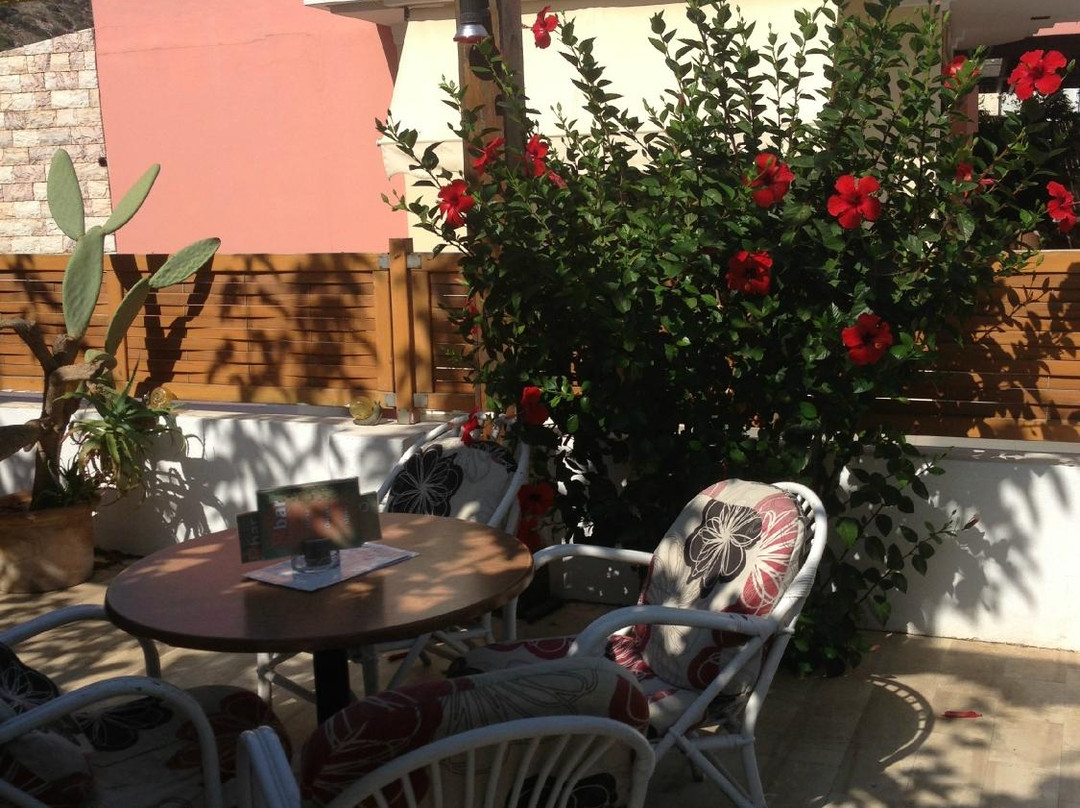 Retro Malia-史塔利思必去景点