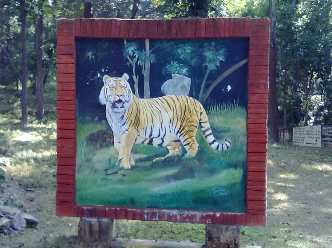 Sonanadi Wildlife Sanctuary景点图片