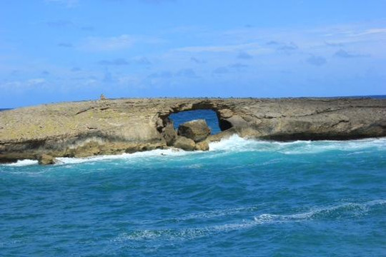 Hawaii Turtle Tours-火奴鲁鲁必去景点