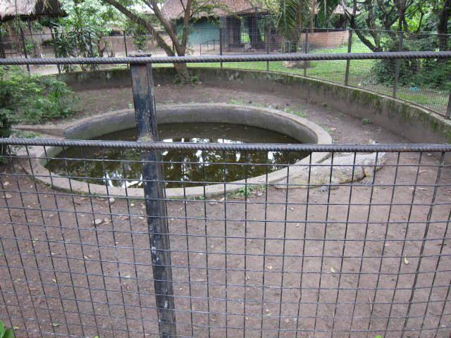 Reptile Park (Parc des Reptiles)-布松布拉必去景点