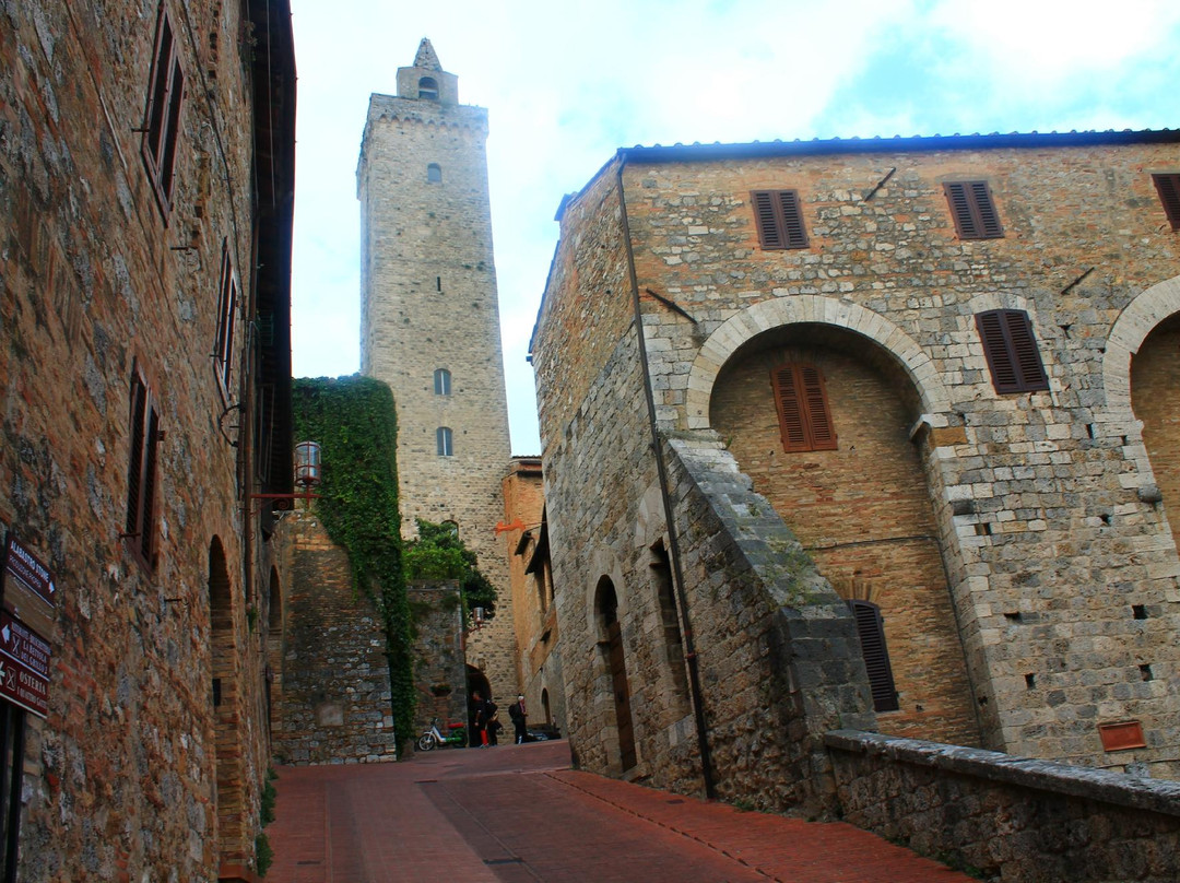 My Tuscan Wine And Tours景点图片