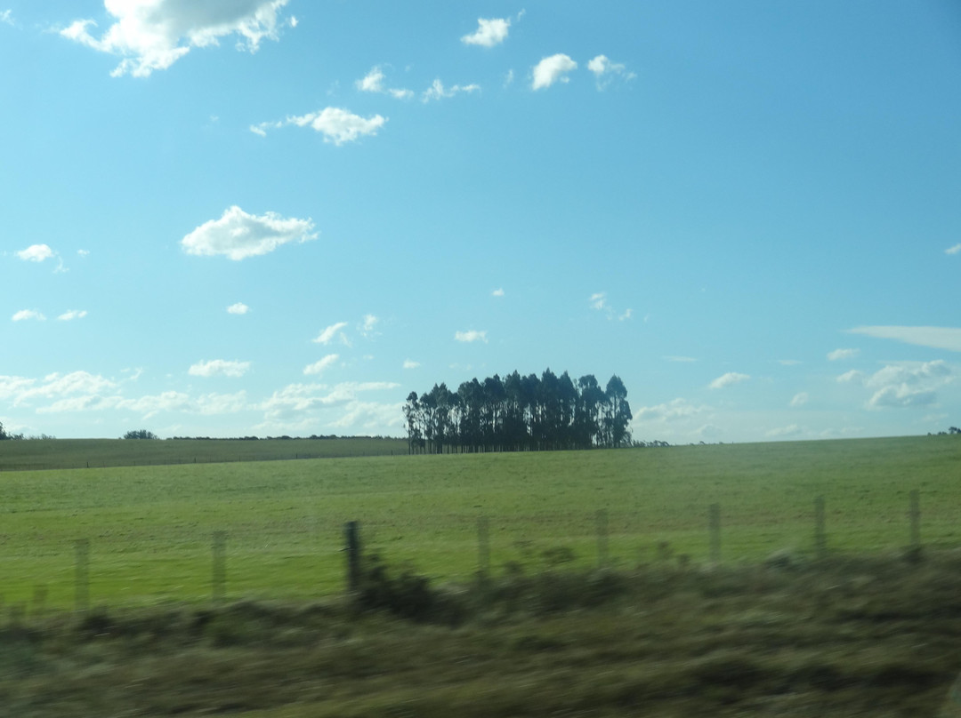 Meseta de Artigas景点图片