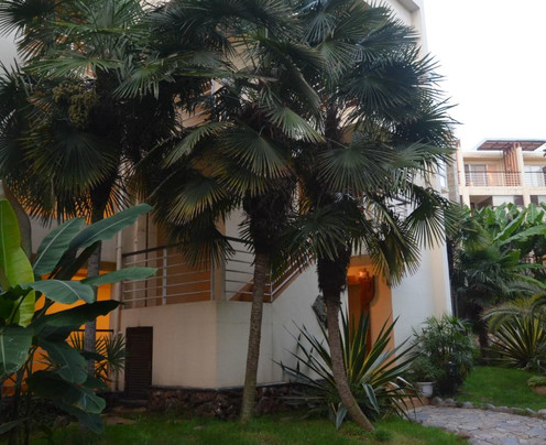 安宁温泉心景花园酒店主图