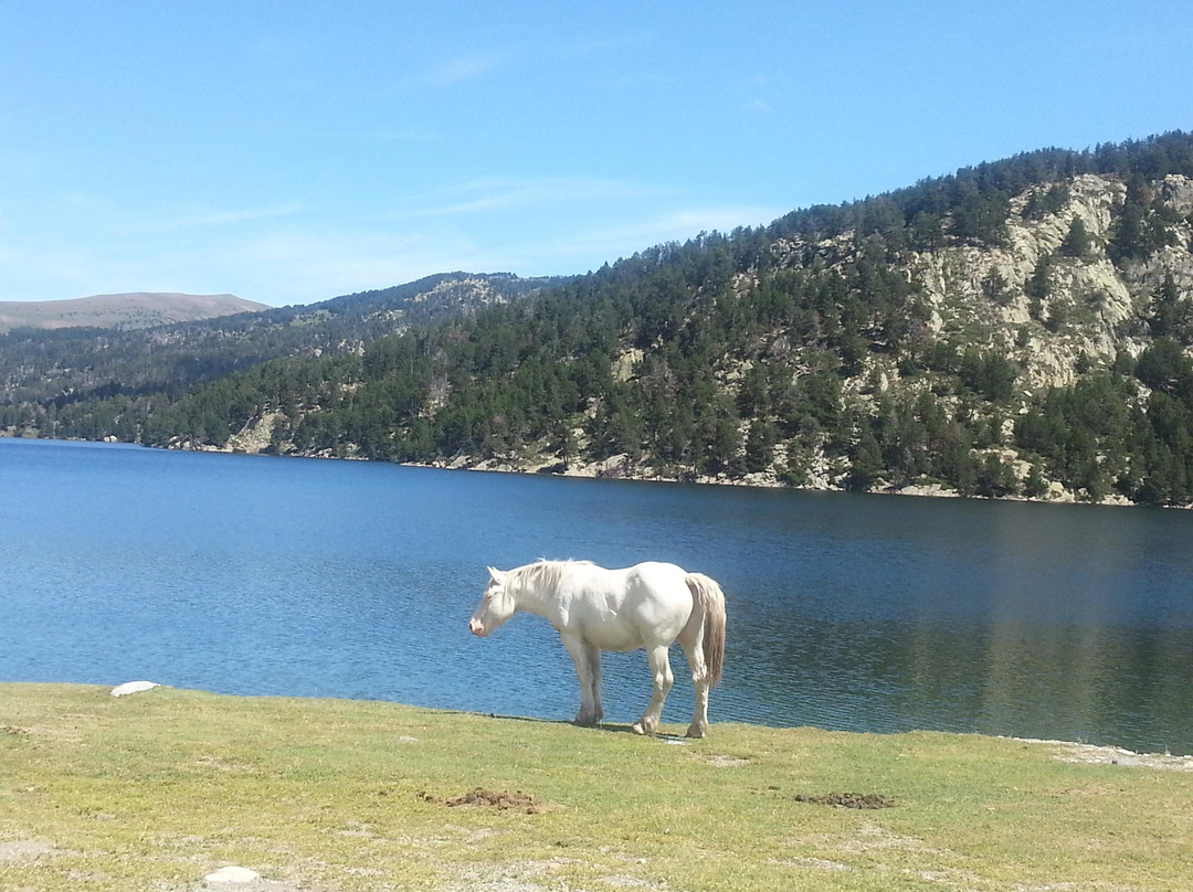 Lac des Bouillouses景点图片