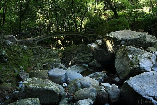 Todoroki Mountain Stream景点图片