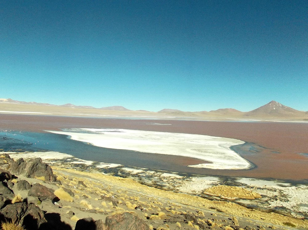 Laguna Colorada-乌尤尼必去景点