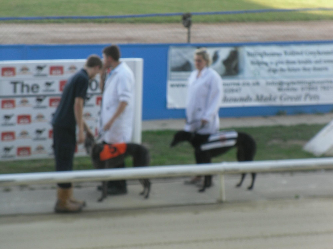 Sittingbourne Greyhounds景点图片