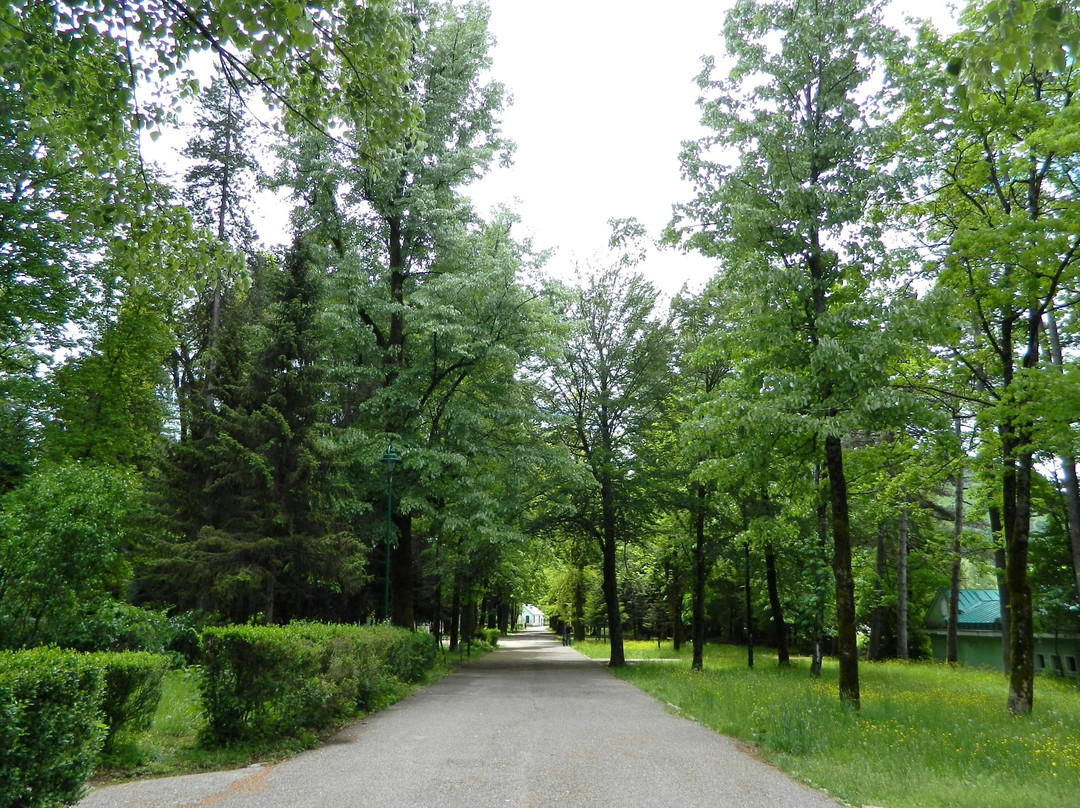 Museum of King Nikola-Cetinje必去景点