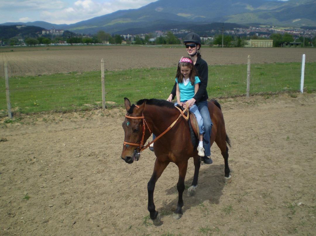 Equestrian Center Sivek-韦林格勒必去景点