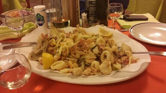 Nido del Falco