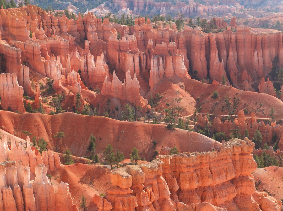 Bindlestiff Tours-拉斯维加斯必去景点