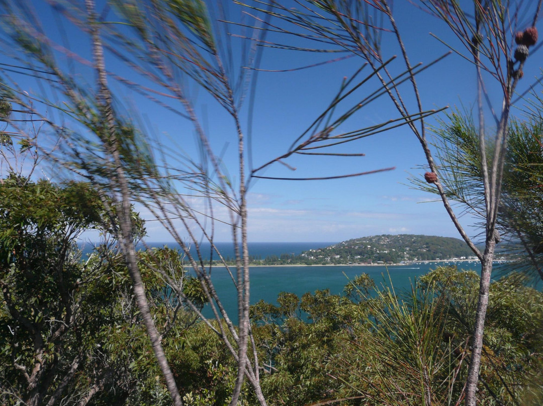 West Head Lookout景点图片