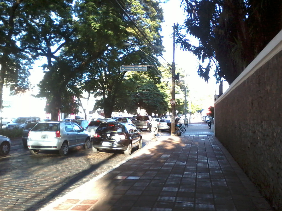 Avenida 9 de Julho景点图片