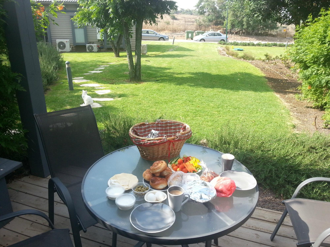 Etnachta Kibbutz Afik