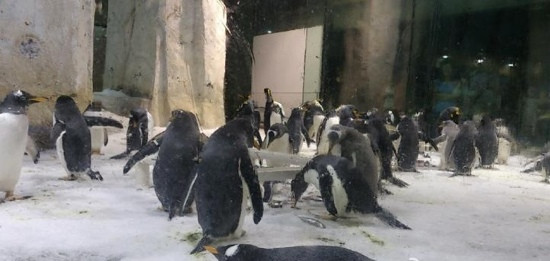 大连海洋乐园主图