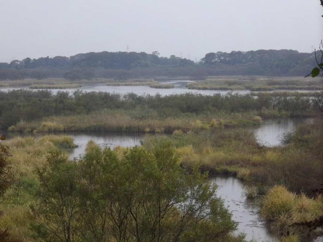 Sugaonuma-常总市必去景点