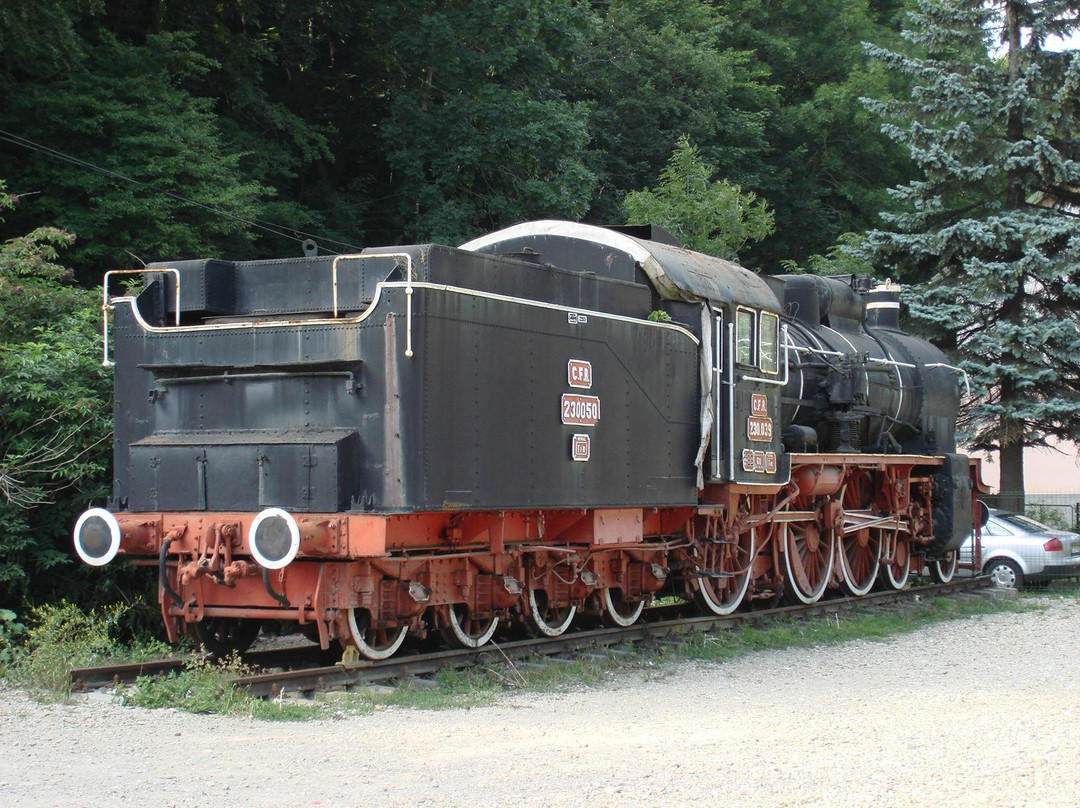 Sinaia train exhibition景点图片