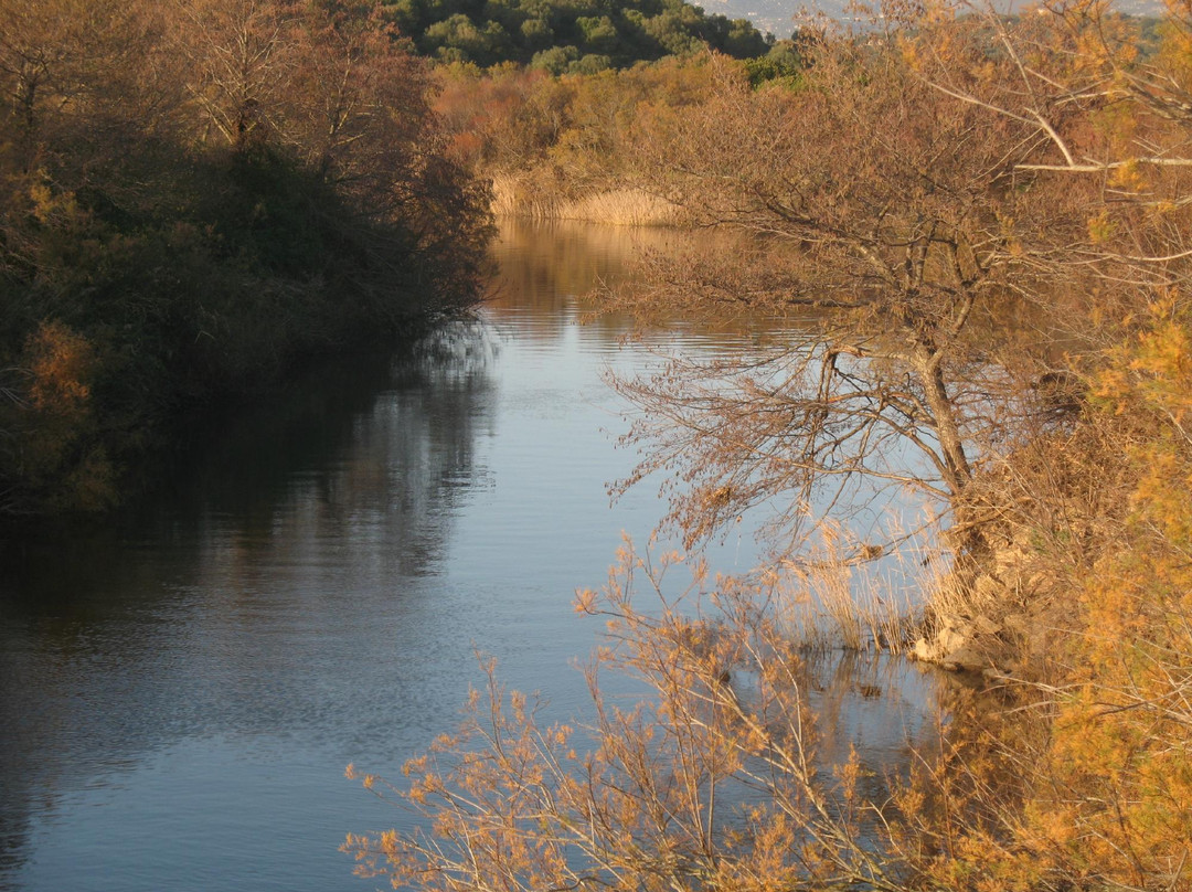 Parco Fluviale del Padrongianus-Murta Maria必去景点