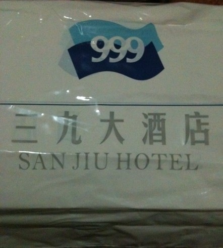 三九大酒店-客卧