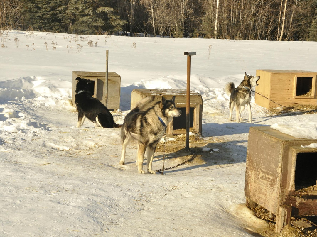 Just Short of Magic-费尔班克斯必去景点