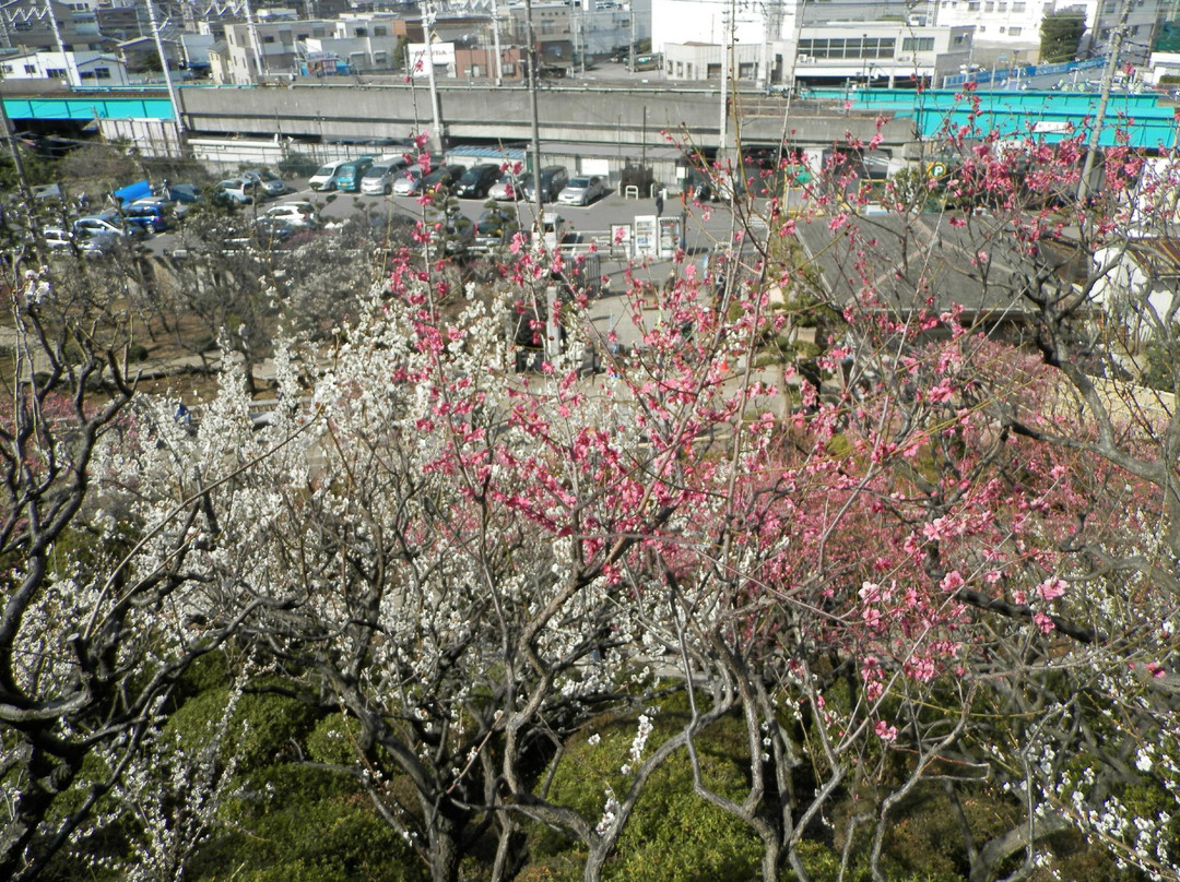 Ikegami Baien-大田区必去景点