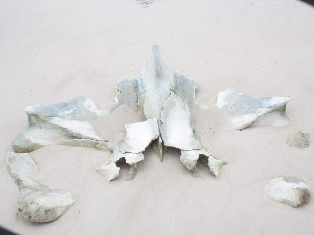 Guaibim-Valenca必去景点