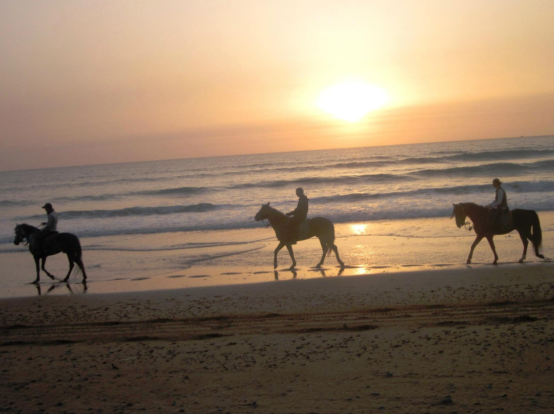 Zouina Cheval-索维拉必去景点