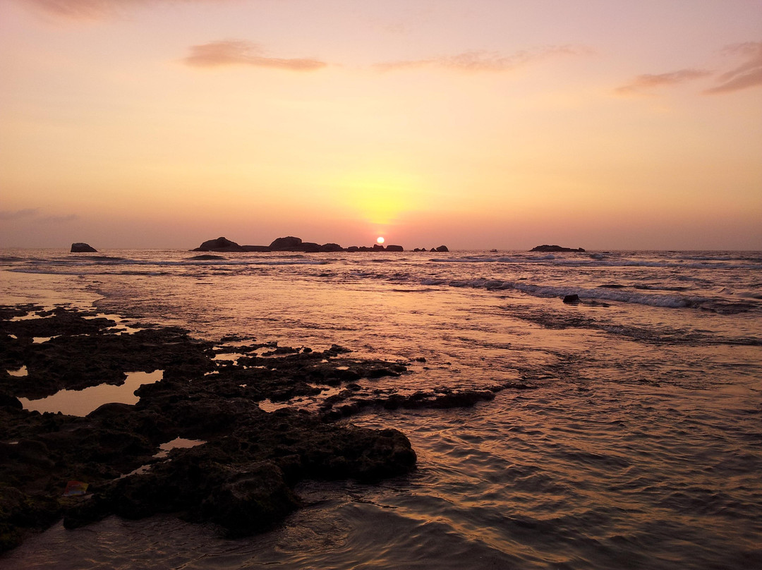 Coral Sanctuary-希克杜沃必去景点