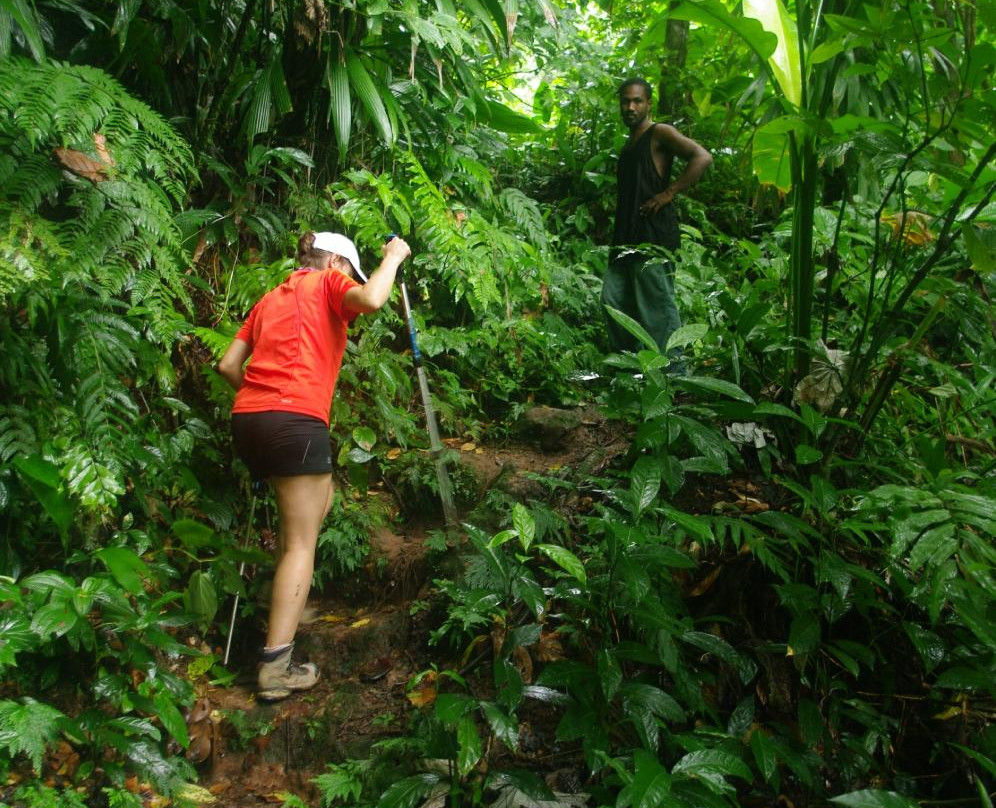 Sari-Sari Waterfall-多米尼克必去景点
