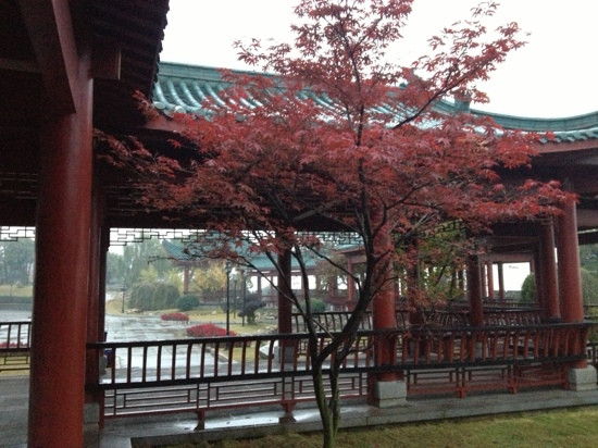 洞庭湖风景区-岳阳市必去景点