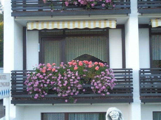 Hotel Rheingold-客卧