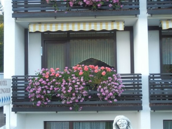 Hotel Rheingold主图