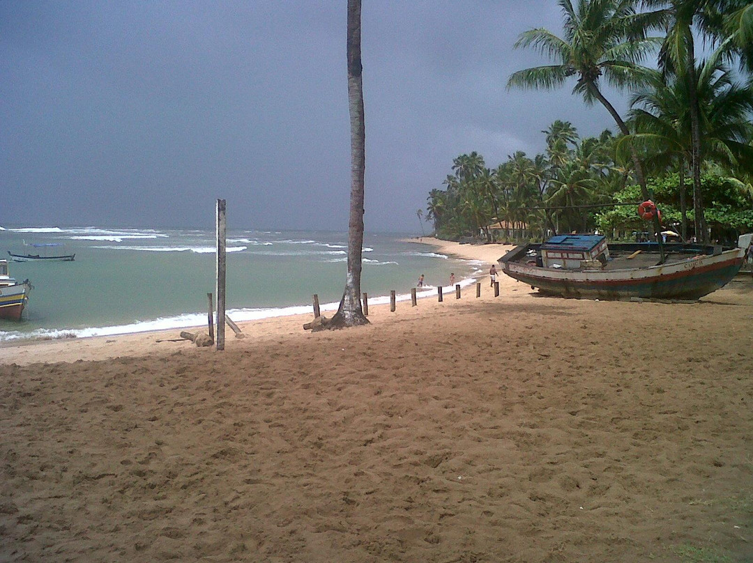 Forte Beach-普拉亚多海滩必去景点