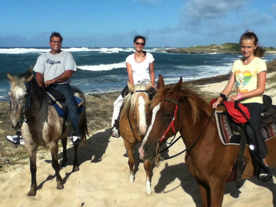 Kahuku-Kai Horse Ranch-卡胡库必去景点