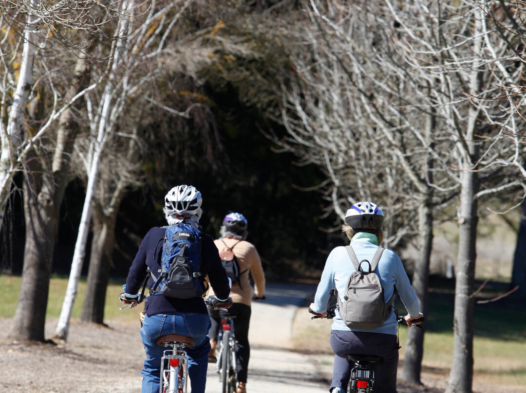 Riding High Cycling Tours - Day Tours-Tarrawingee必去景点
