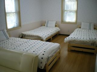 Rental Cottage eco+主图