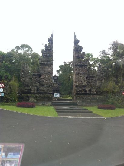 巴厘岛树顶冒险公园景点图片
