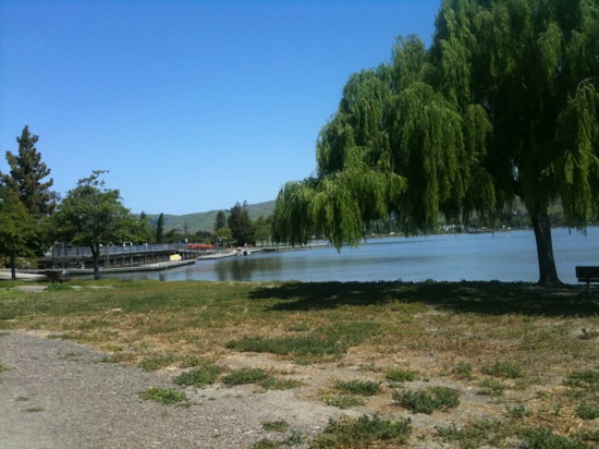 中央公园-费利蒙必去景点