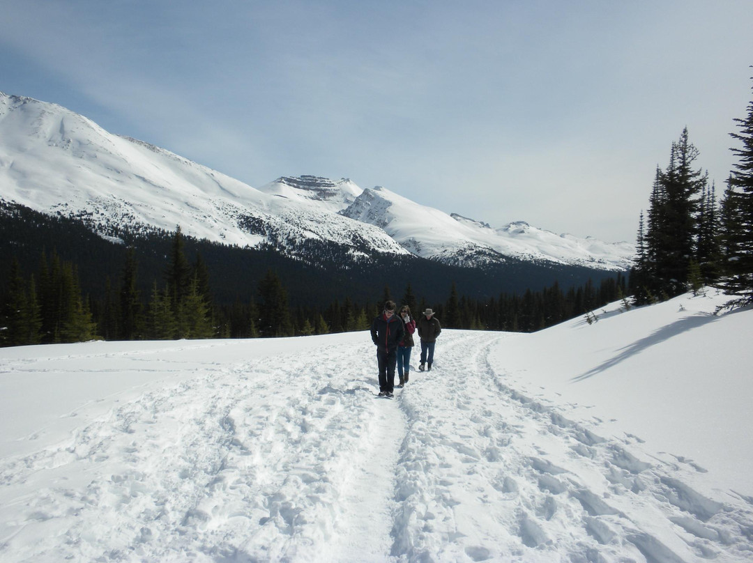 Bow Summit-班夫国家公园必去景点