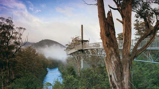 Tahune Adventures景点图片