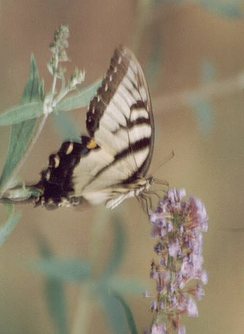 Mounds State Park-安德森必去景点