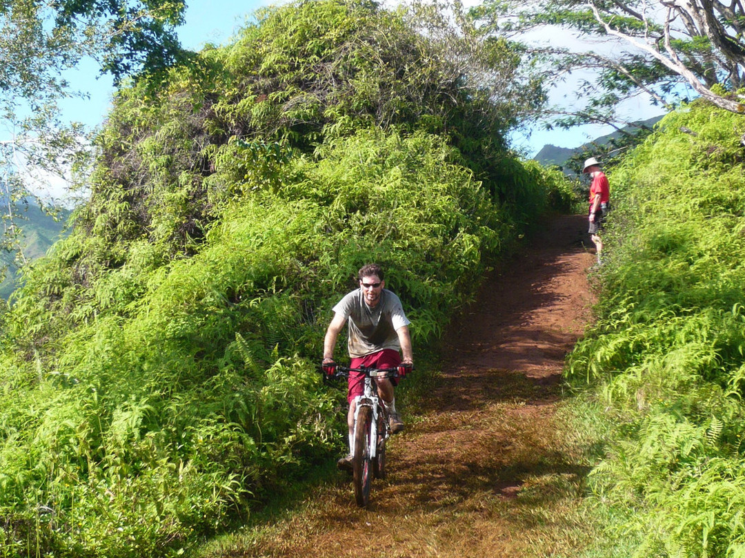 Kuilau Ridge Trail景点图片
